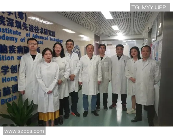 以Chovy为核心构建中路战术体系探讨与团队协同新思路