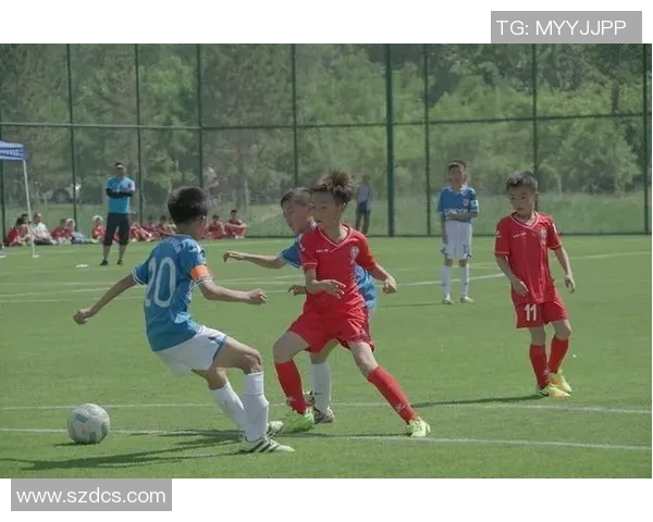 足球俱乐部如何提升青训体系与全球化品牌建设的双重竞争力