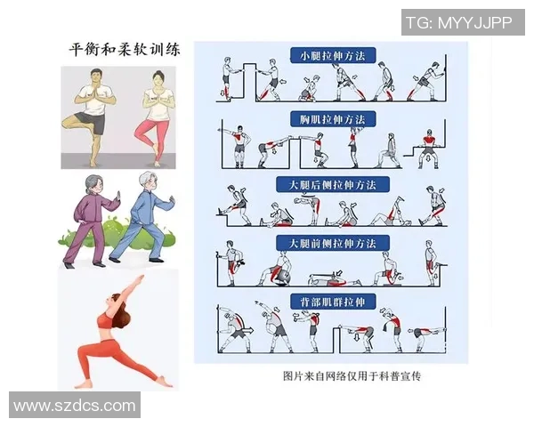 运动与健康的完美结合探究：如何通过科学训练提升身体素质与生活质量